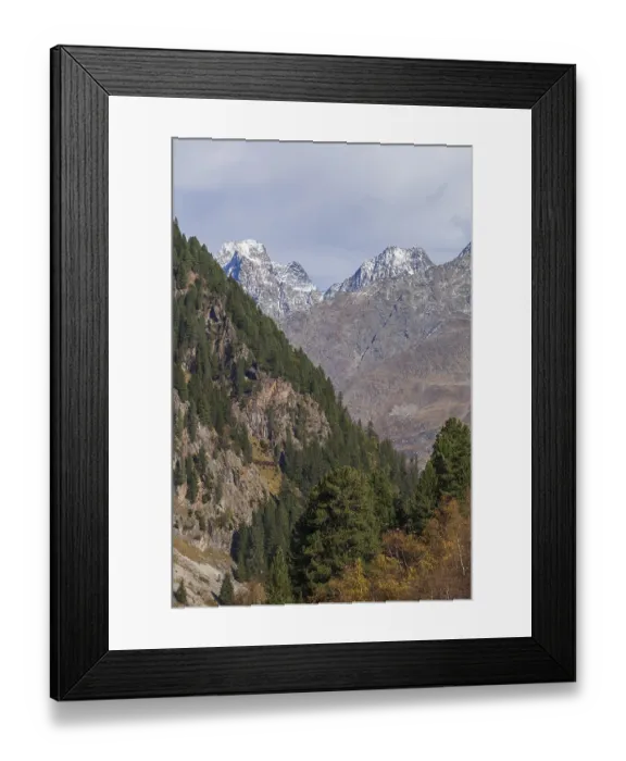 Framed Print : Forest and mountains in Mutterberg Valley in autumn Framed Print : Forest and mountains in Mutterberg Valley in autumn