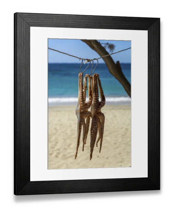 Framed Print : Octopus is dried in the sun, Naxos Framed Print : Octopus is dried in the sun, Naxos
