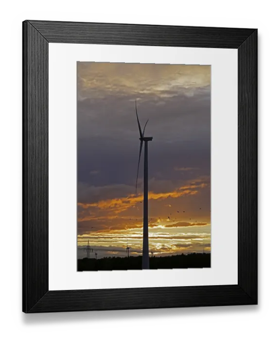 Framed Print : Sunset, clouds, flock of birds