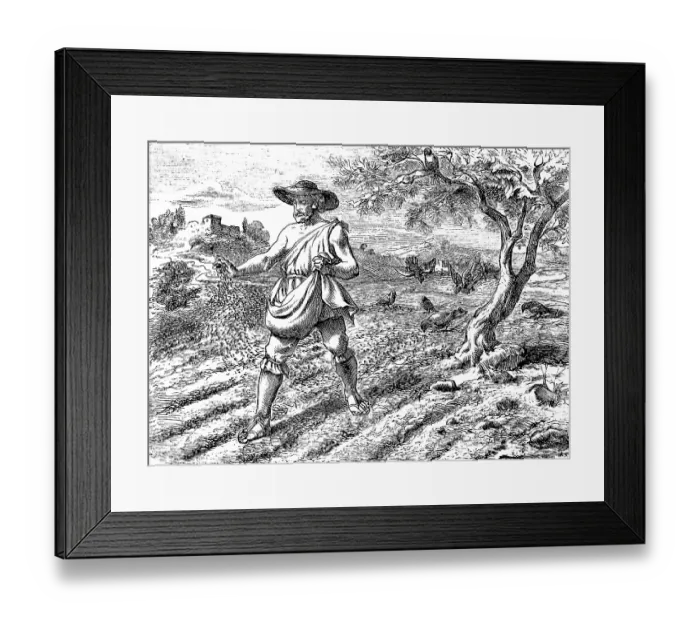 Framed Print : The sower in the field, Gospel of Matthew