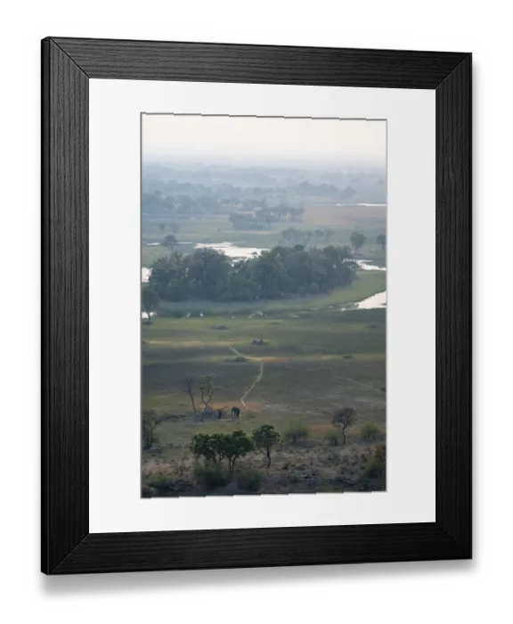 Framed Print : River landscape with two African elephants (Loxodonta africana) Framed Print : River landscape with two African elephants (Loxodonta africana)
