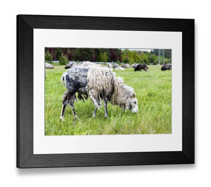 Framed Print : Brieselang, Brandenburg - Germany - 03-29-2022