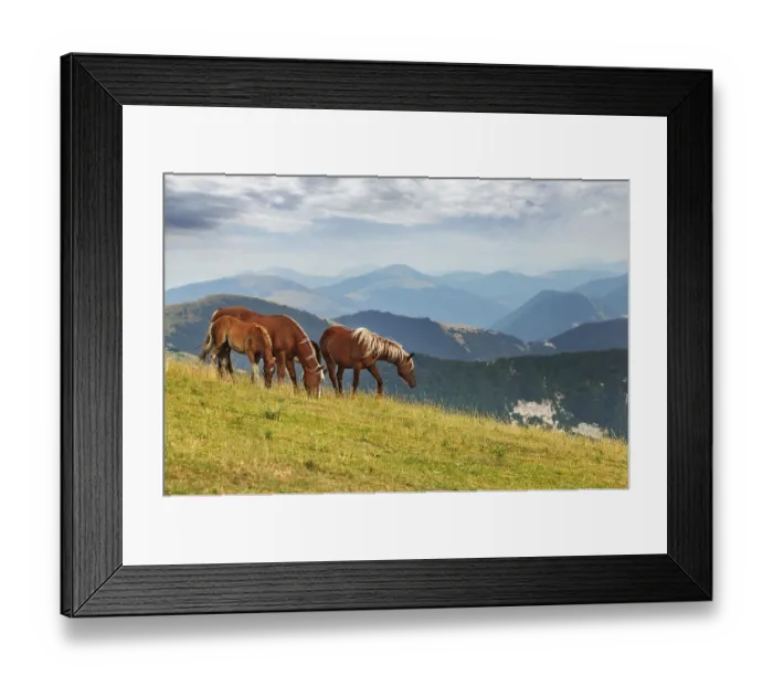Framed Print : Brown horses on mountain landscape