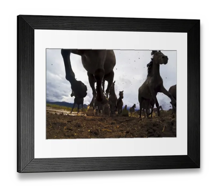 Framed Print : A view from below on the hooves of horses Framed Print : A view from below on the hooves of horses