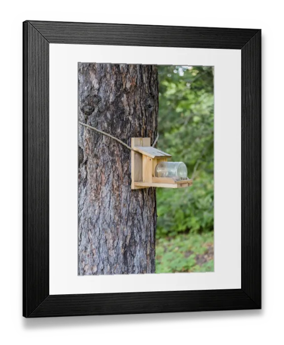 Framed Print : Wooden bird feeder hanging in the green summer park Framed Print : Wooden bird feeder hanging in the green summer park