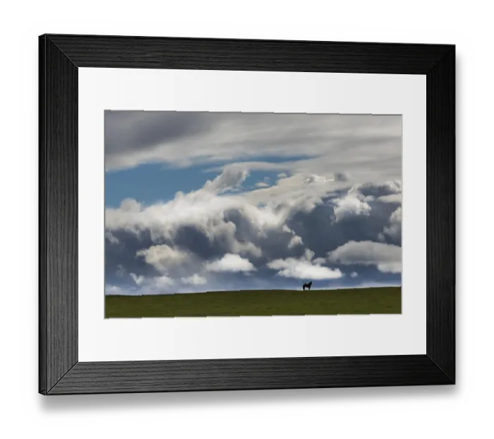 Framed Print : Silhouette of Icelandic Horse on Iceland with dark and light clouds