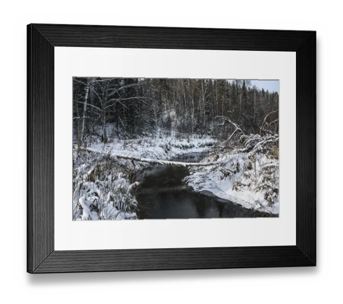 Framed Print : River among the coniferous forest in winter Framed Print : River among the coniferous forest in winter