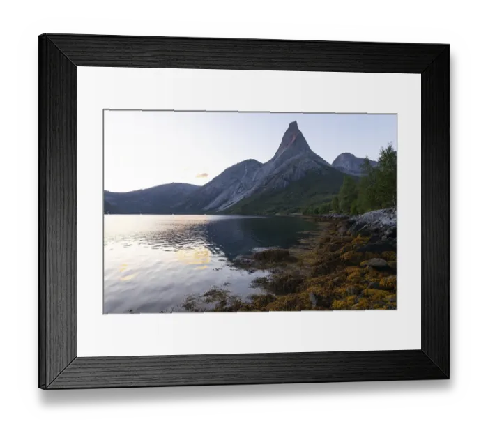 Framed Print : Fascinating view of Stetind in the morning light with seaweed on the shore Framed Print : Fascinating view of Stetind in the morning light with seaweed on the shore