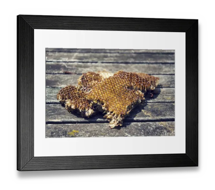 Framed Print : Old bees honeycomb on wooden table on a sunny day Prague