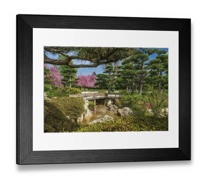 Framed Print : Idyllic landscape of Japanese garden Framed Print : Idyllic landscape of Japanese garden