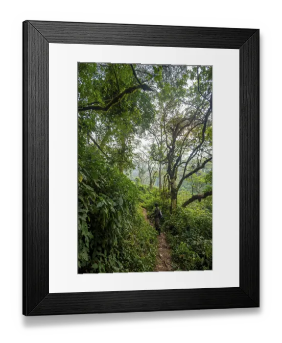 Framed Print : Tourist guide on hiking trail through dense vegetation in tropical mountain rainforest