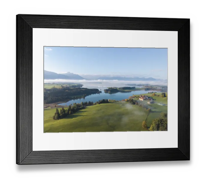 Framed Print : Green hilly landscape with quiet Forggensee and light fog Framed Print : Green hilly landscape with quiet Forggensee and light fog