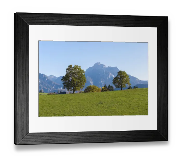Framed Print : Three trees in a meadow with a mountain in the background under a clear sky Framed Print : Three trees in a meadow with a mountain in the background under a clear sky