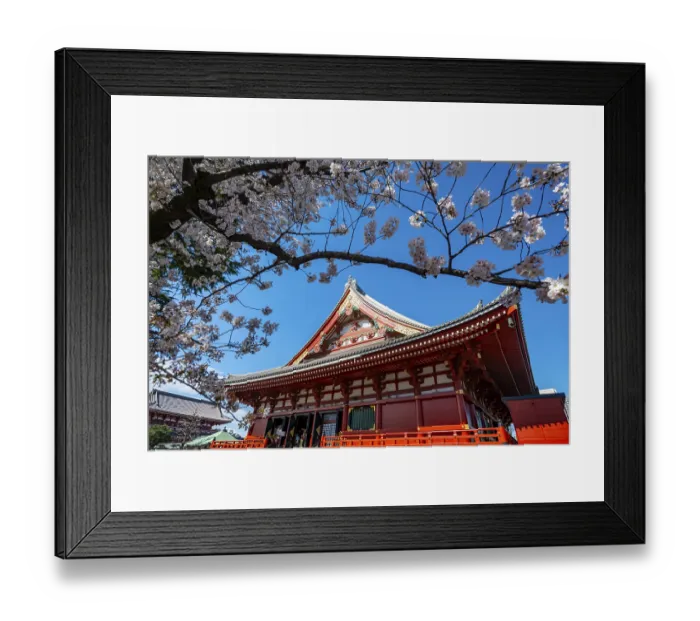 Framed Print : Cherry Blossoms and Red Temple Framed Print : Cherry Blossoms and Red Temple