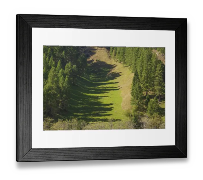 Framed Print : Forest and meadows in autumn, Pinnistal
