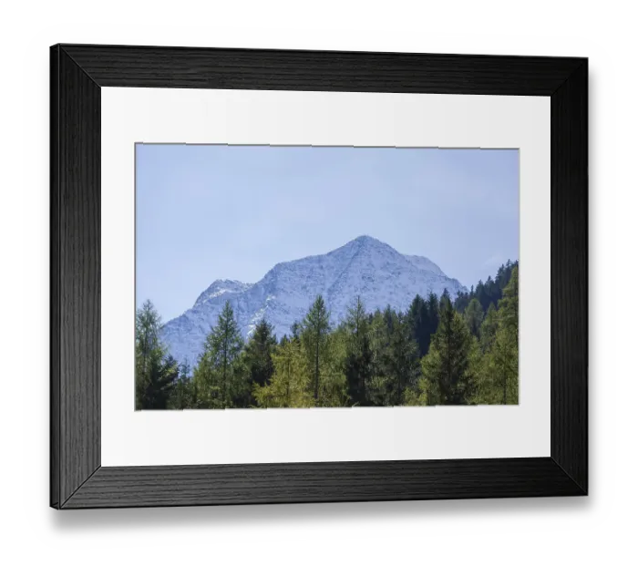 Framed Print : Snowy mountain hawk with forest in autumn