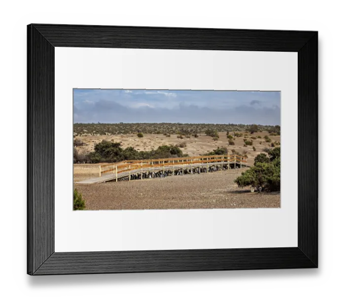 Framed Print : Wooden walkway snakes through a vast dry landscape