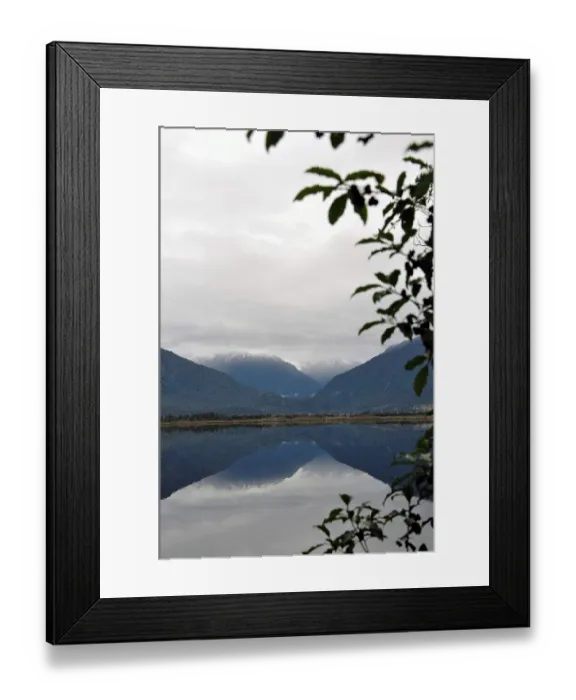 Framed Print : ibxwbk11357335