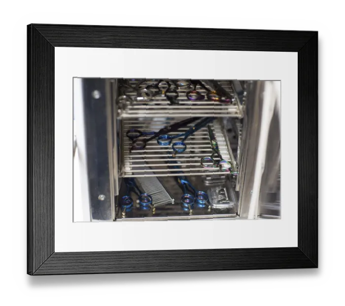 Framed Print : Cat and Pet grooming in beauty salon