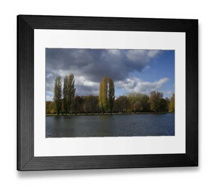 Framed Print : Kleinhesseloher See, gray goose Framed Print : Kleinhesseloher See, gray goose