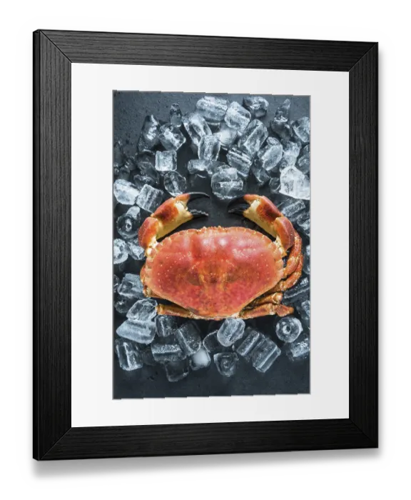 Framed Print : Whole crab on dark slate and ice cubes from overhead Framed Print : Whole crab on dark slate and ice cubes from overhead
