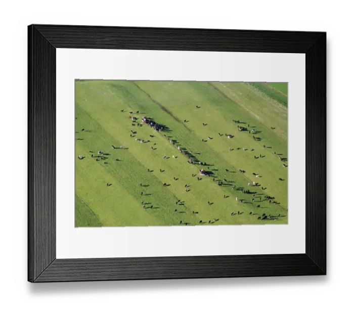 Framed Print : ibxwbk11357045 Framed Print : ibxwbk11357045