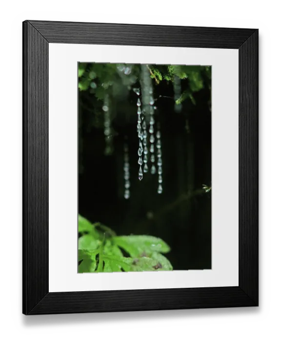 Framed Print : ibxwbk11357386