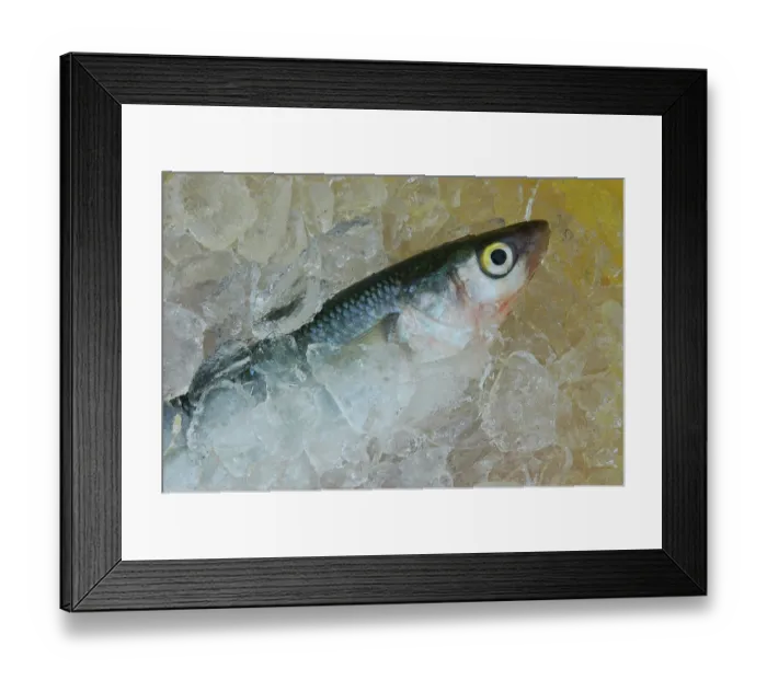 Framed Print : ibxwbk11357408 Framed Print : ibxwbk11357408