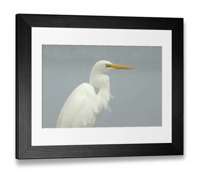 Framed Print : ibxwbk11357412