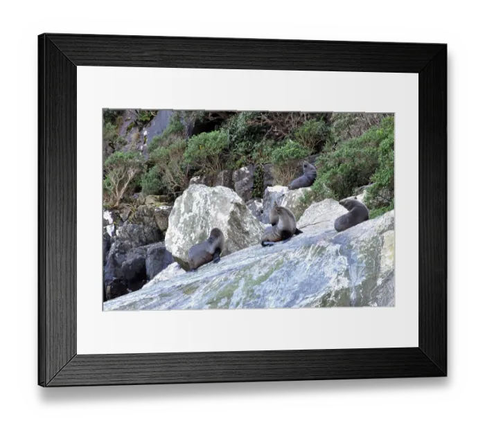Framed Print : ibxwbk11357508 Framed Print : ibxwbk11357508