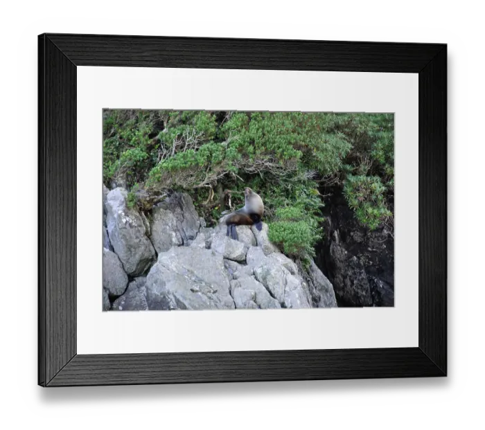 Framed Print : ibxwbk11357510