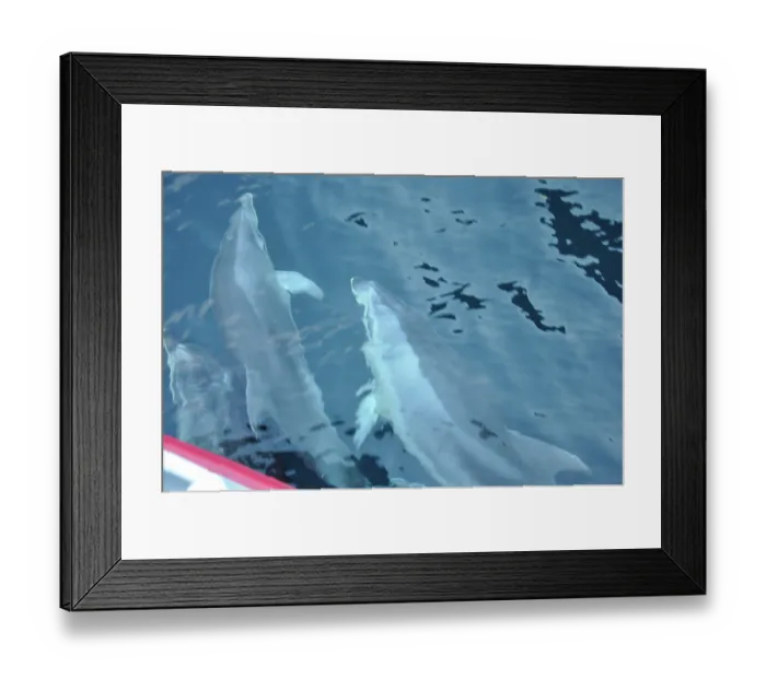 Framed Print : ibxwbk11357530
