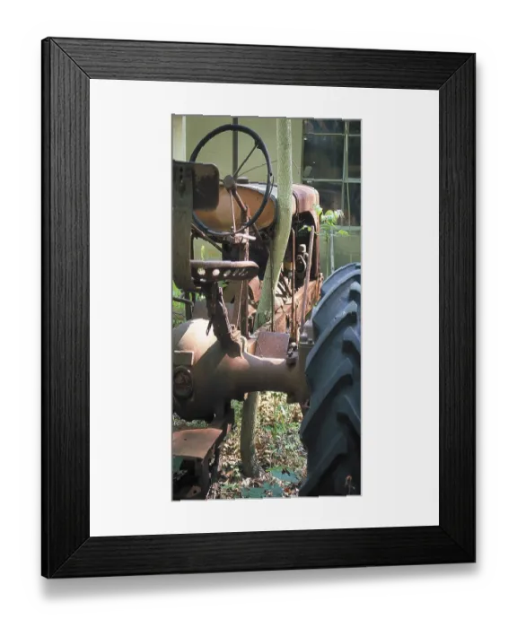 Framed Print : Tree grows due to a rusted tractor in a car cemetery in a forest