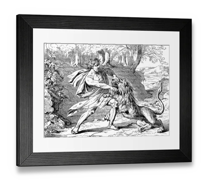 Framed Print : Samson fighting with the lion, vineyards in Thimnath