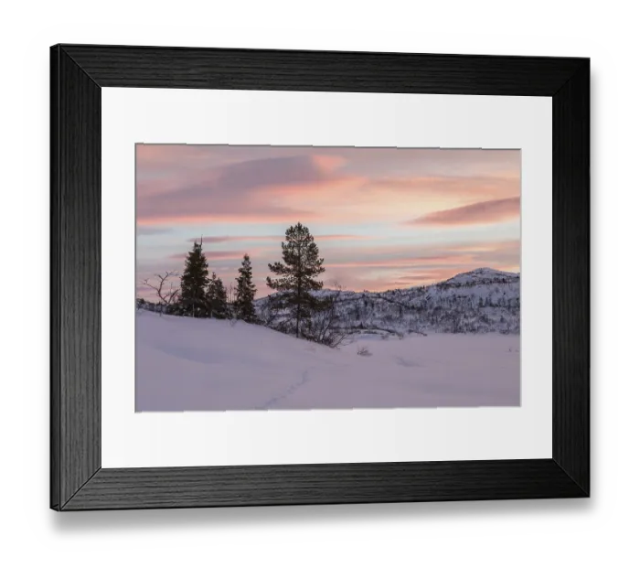 Framed Print : Mountain with trees in winter landscape with fox tracks in the snow and beautiful sunrise Framed Print : Mountain with trees in winter landscape with fox tracks in the snow and beautiful sunrise