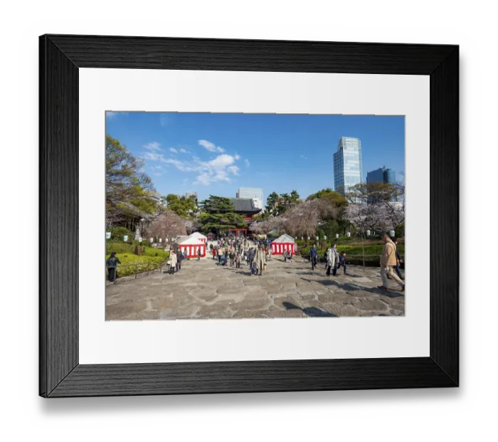 Framed Print : Buddhist temple complex Zojo-ji temple