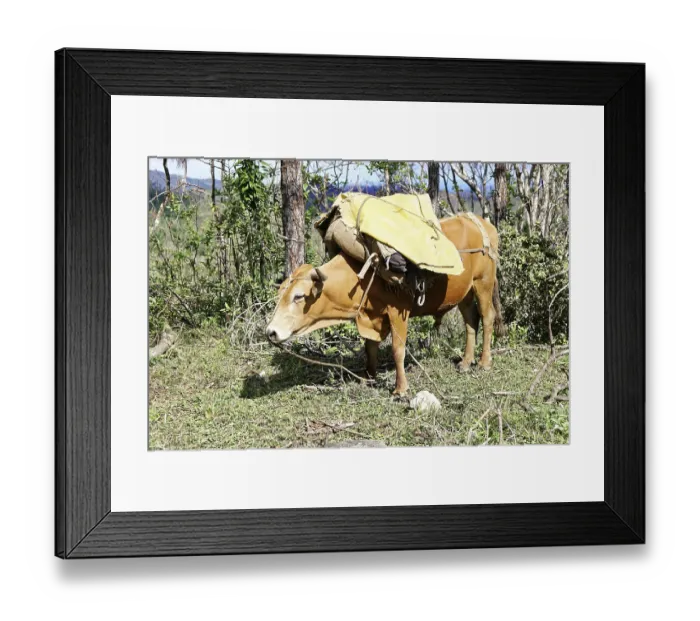 Framed Print : Baracoa, Cuba, Central America Framed Print : Baracoa, Cuba, Central America