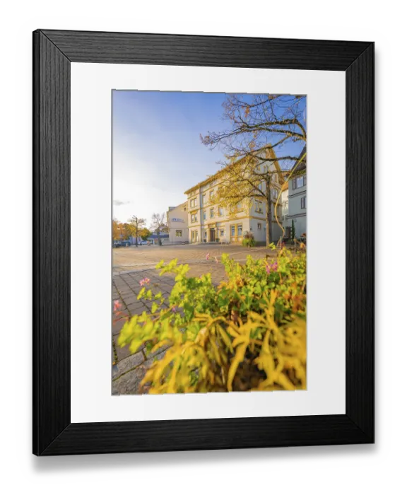 Framed Print : Square with historic building and blooming plants in the foreground in autumn sunshine