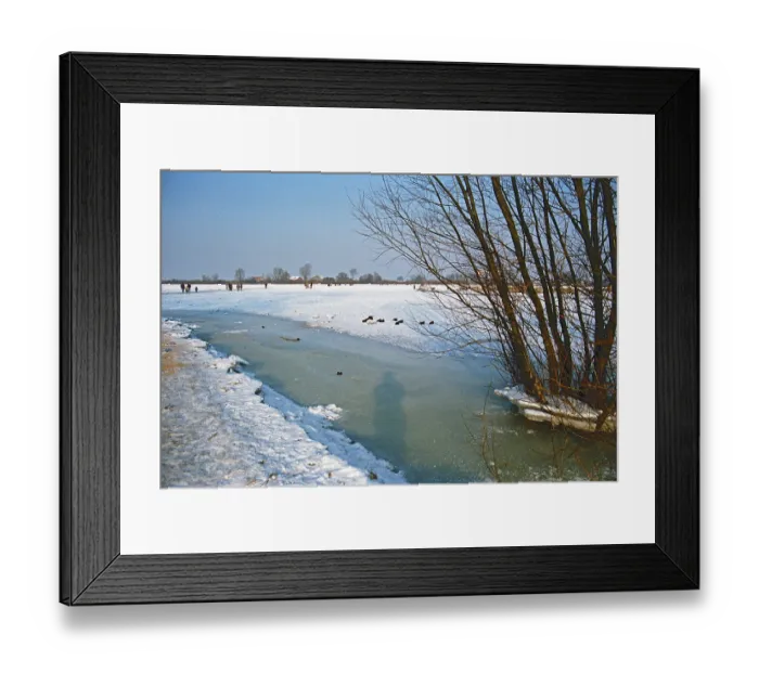 Framed Print : People walk across ice rink, trees