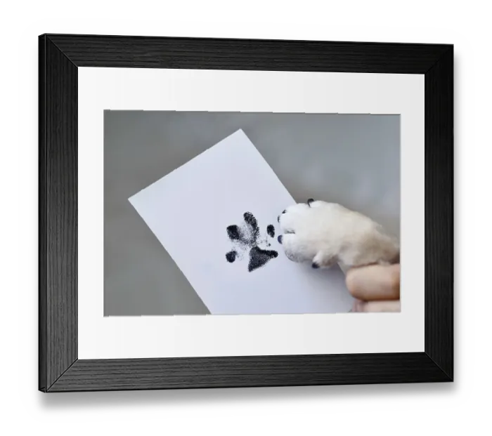 Framed Print : Hand holding dog paw next to prints on white paper Framed Print : Hand holding dog paw next to prints on white paper