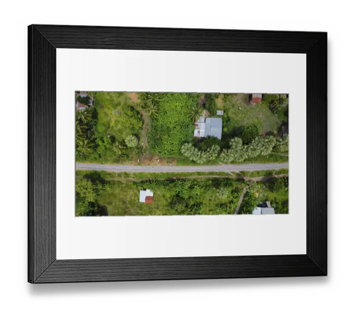 Framed Print : Train tracks with palms and cows next to it seen from above