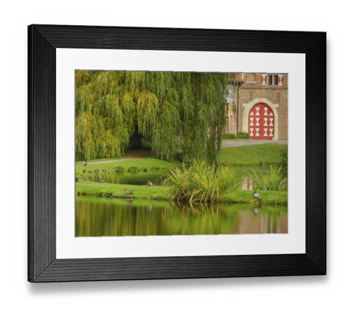 Framed Print : Pond with ducks, weeping willow and brick buildings