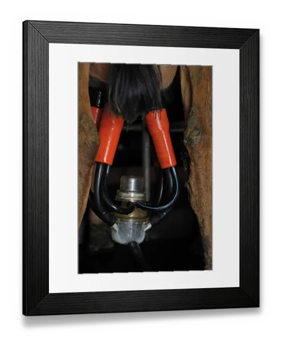 Framed Print : ibxwbk11357014 Framed Print : ibxwbk11357014
