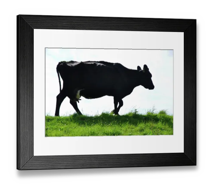 Framed Print : ibxwbk11357032 Framed Print : ibxwbk11357032