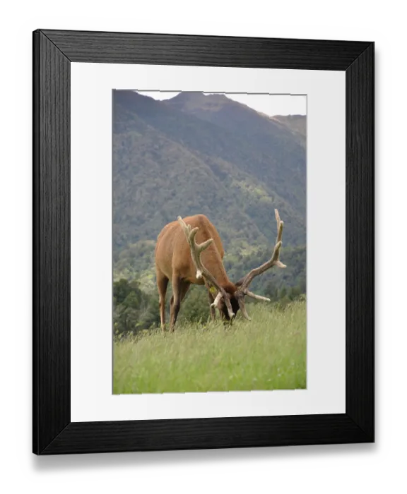 Framed Print : ibxwbk11357084 Framed Print : ibxwbk11357084