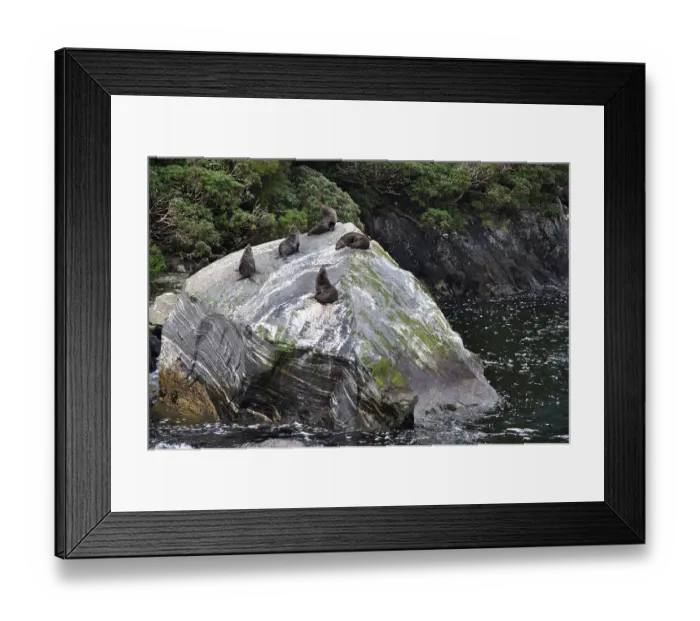 Framed Print : ibxwbk11357509 Framed Print : ibxwbk11357509