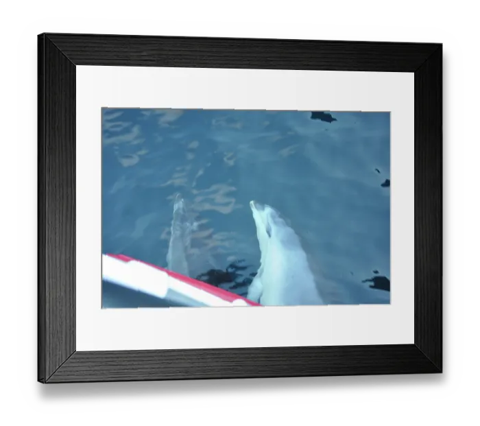 Framed Print : ibxwbk11357531 Framed Print : ibxwbk11357531