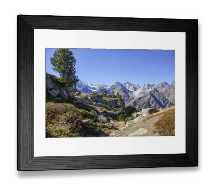 Framed Print : Rocks and trees in front of mountain peaks under blue sky