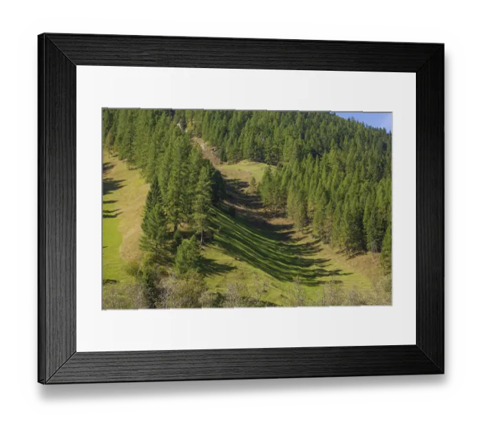 Framed Print : Forest and meadows in autumn, Pinnistal Framed Print : Forest and meadows in autumn, Pinnistal