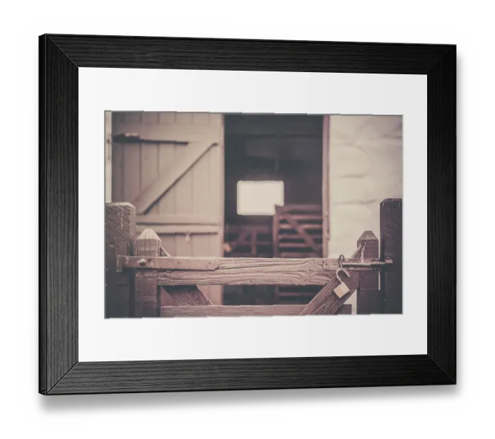 Framed Print : Wooden gates with unlocked padlock to the barn and anmial enclosure on a farm in Cornwall Framed Print : Wooden gates with unlocked padlock to the barn and anmial enclosure on a farm in Cornwall